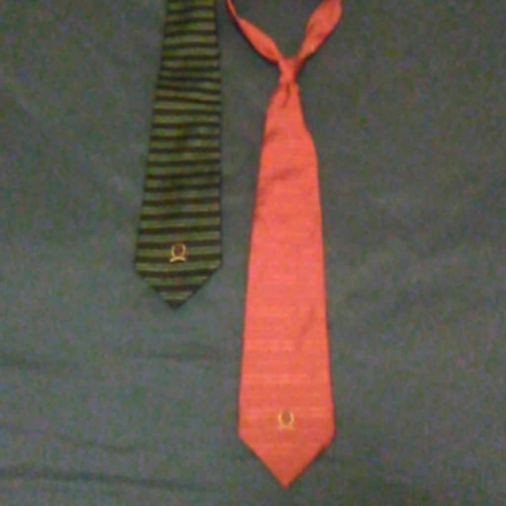 2 TOMMY HILFIGER NECK TIES